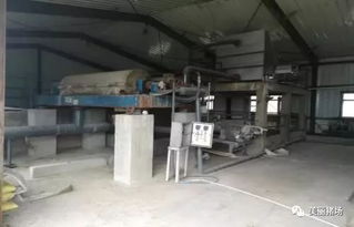 環保督察下的警示 龍頭企業污染、示范項目失靈與新型技術的破局之路